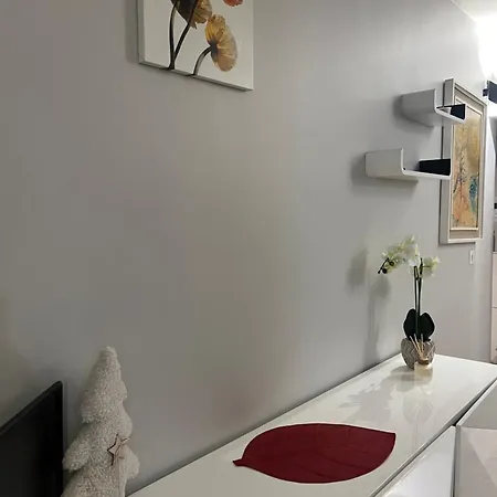 Elegant Near Transport&terrace *